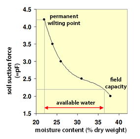 Water-retention relationship of a silty clay horizon

