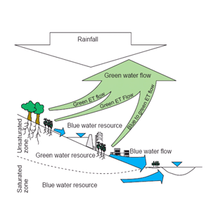 Green and blue water diagram

