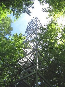 Tour à flux installée dans la forêt de Hesse
 