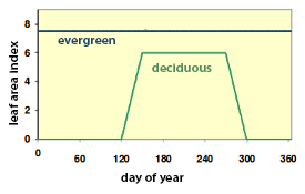 Variation in leaf area index.
